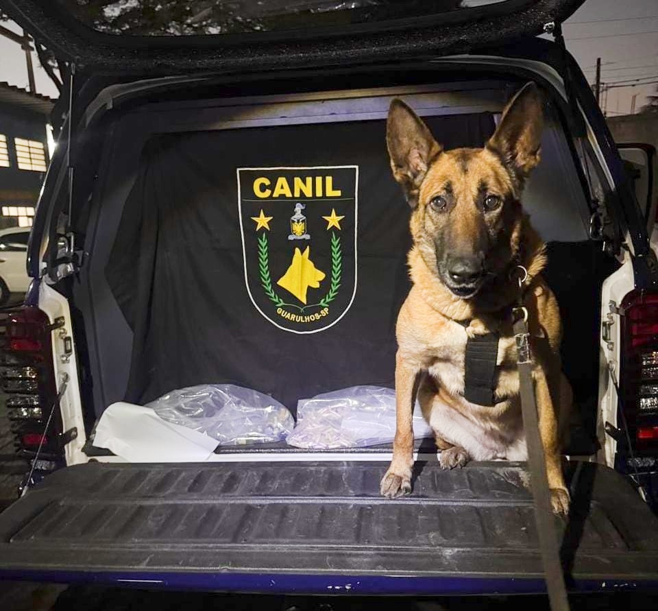 GCM apreende 4,2 kg de drogas no combate ao tráfico na cidade - foto 4