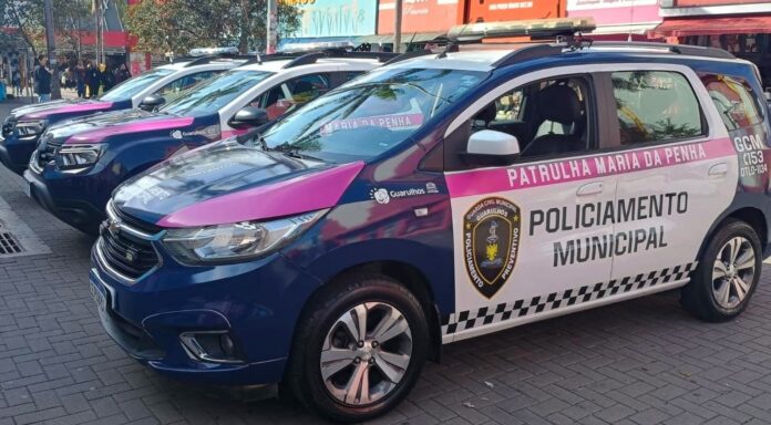 GCM prende homem por violência doméstica no Picanço - foto 1