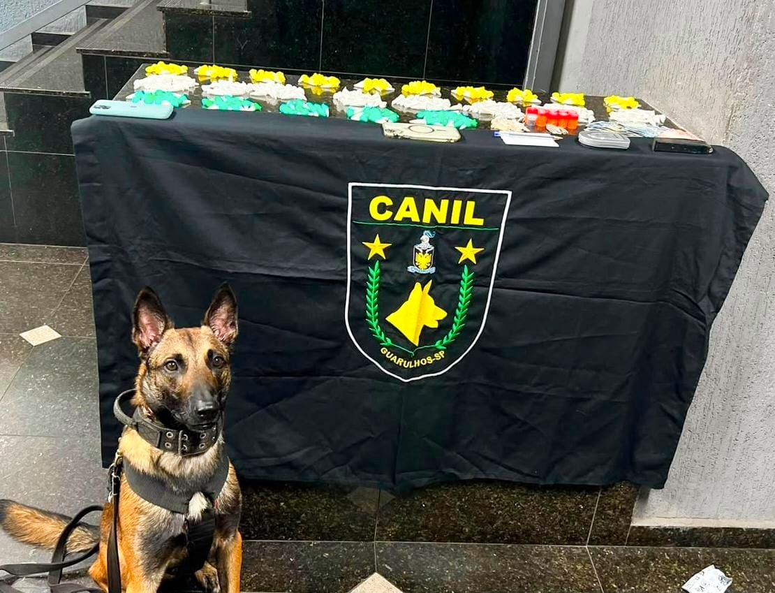 GCM prende três suspeitos por tráfico e apreende mais de 2 mil porções de drogas na cidade - foto 2