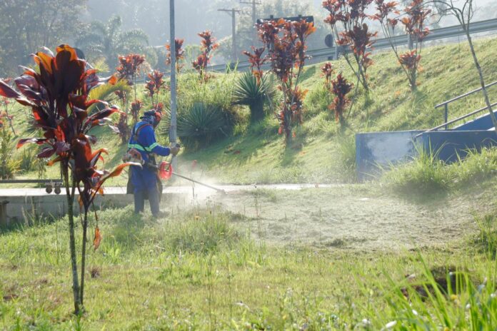 Meio Ambiente faz mutirão de zeladoria em praças por toda a cidade - foto 1
