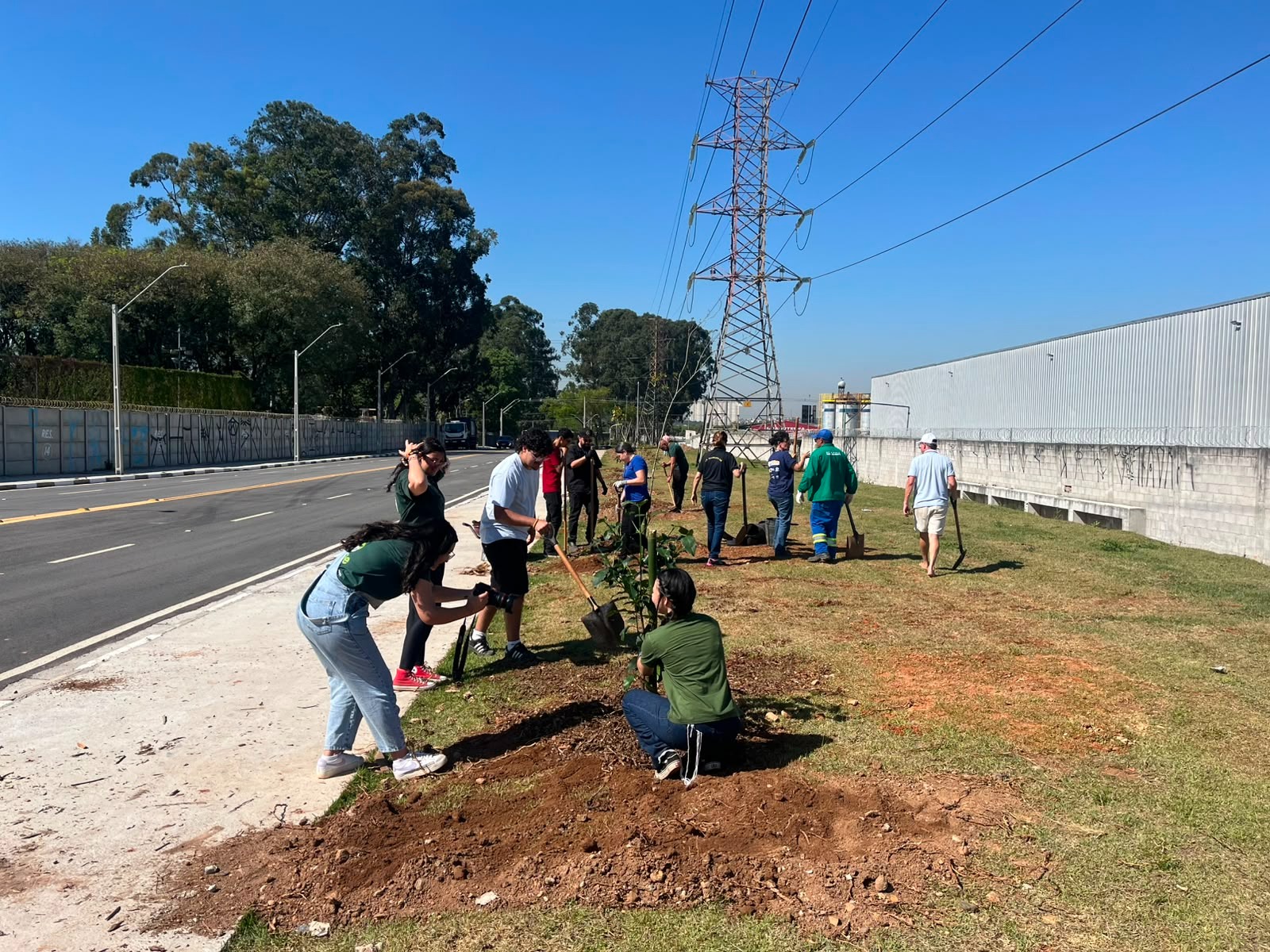 Prefeitura  planta no Macedo mais 32 mudas de árvores nativas da Mata Atlântica - foto 3