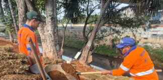Santo André realiza obras para recuperar margem do Ribeirão dos Meninos - foto 2