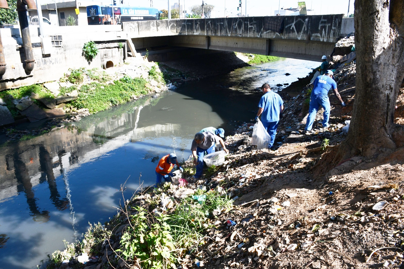 Santo André realiza obras para recuperar margem do Ribeirão dos Meninos - foto 4