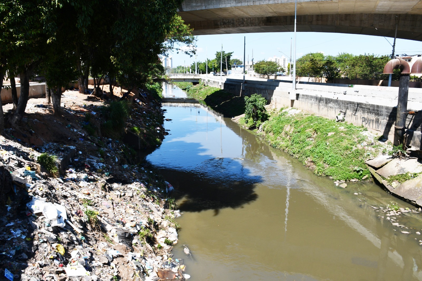 Santo André realiza obras para recuperar margem do Ribeirão dos Meninos - foto 5