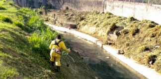 SAR promove zeladoria em córregos e bocas de lobo nesta sexta-feira - foto 1