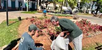 Ações da Semana da Árvore somam mais de 520 mudas nativas plantadas em Atibaia