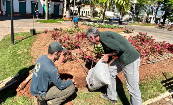 Ações da Semana da Árvore somam mais de 520 mudas nativas plantadas em Atibaia