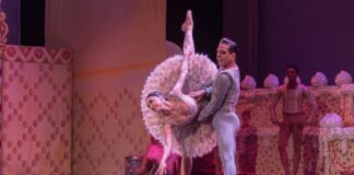 Ana Botafogo participa de evento especial de dança no Teatro Municipal de Santo André