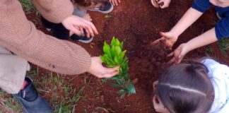 Atibaia promove ações de arborização e recuperação ambiental na Semana da Árvore