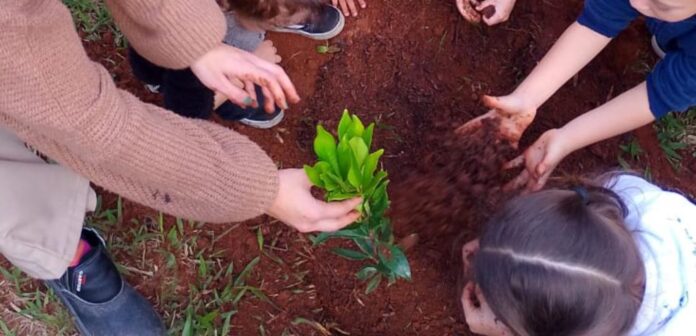 Atibaia promove ações de arborização e recuperação ambiental na Semana da Árvore