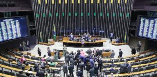 Deputado federal, estadual e distrital: entenda a diferença entre os cargos