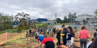 Guarulhos intensifica arborização com o plantio de mais de 450 mudas nativas da Mata Atlântica