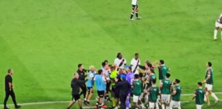 Jogadores de Fluminense e Vasco brigam em clássico pelo Brasileirão