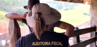 Operação resgata quase 500 trabalhadores em situação análoga à escravidão