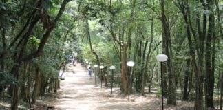 Parques Urbanos de SP têm programação especial de educação ambiental no feriado de 7 de Setembro