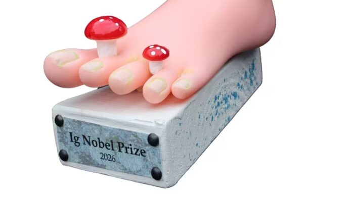 Pesquisas sobre assoar o nariz, roubar doces e mictórios sem respingos serão homenageadas no Prêmio Ig Nobel de 2026