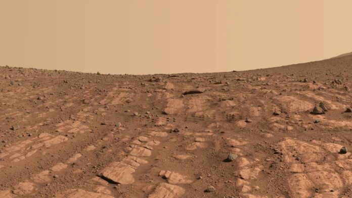 Pirâmide, dedo e flores: Veja ‘achados’ da Nasa em Marte que fazem as pessoas duvidarem se é real