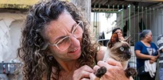 Prefeitura de Ferraz realiza mais de 360 castrações de cães e gatos