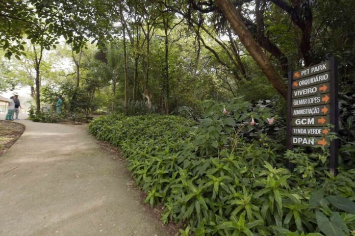 Prefeitura de Guarulhos divulga funcionamento dos serviços no feriado da Independência