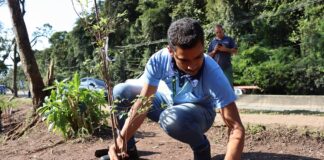 Santo André inicia recuperação ambiental de mais de 6 mil m² no Parque do Pedroso