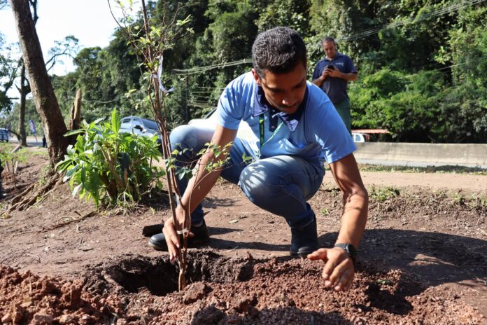 Santo André inicia recuperação ambiental de mais de 6 mil m² no Parque do Pedroso