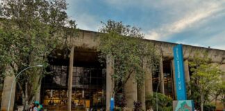 UnB acumula 38 processos em investigação por fraudes em cotas raciais