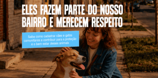 Atibaia cria cadastro digital para mapear e proteger cães e gatos comunitários