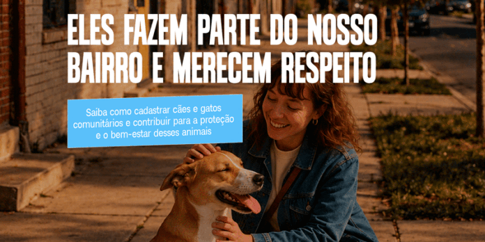 Atibaia cria cadastro digital para mapear e proteger cães e gatos comunitários