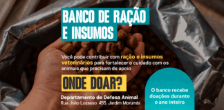 Atibaia lança cadastro on-line para animais comunitários e mobiliza doações para o Banco de Ração