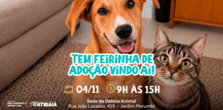 Atibaia realiza 22ª Feirinha de Adoção de Cães e Gatos na quarta-feira