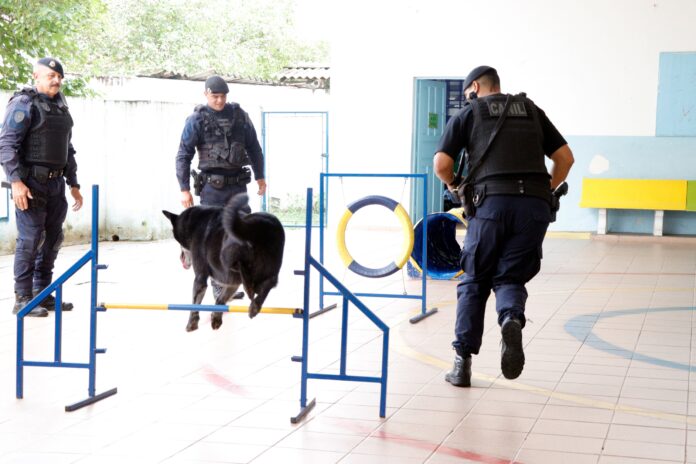 Canil da GCM realiza apresentação para 140 alunos em escola do centro - foto 1