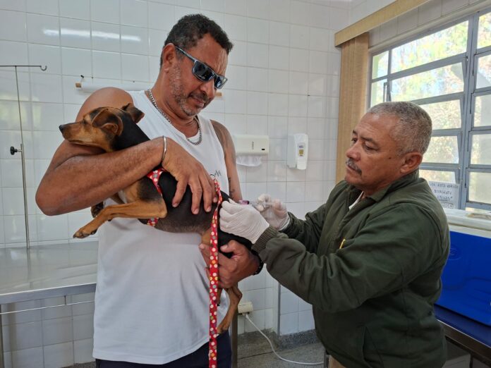 CCZ de Guarulhos promove vacinação antirrábica para cães e gatos nesta quinta-feira