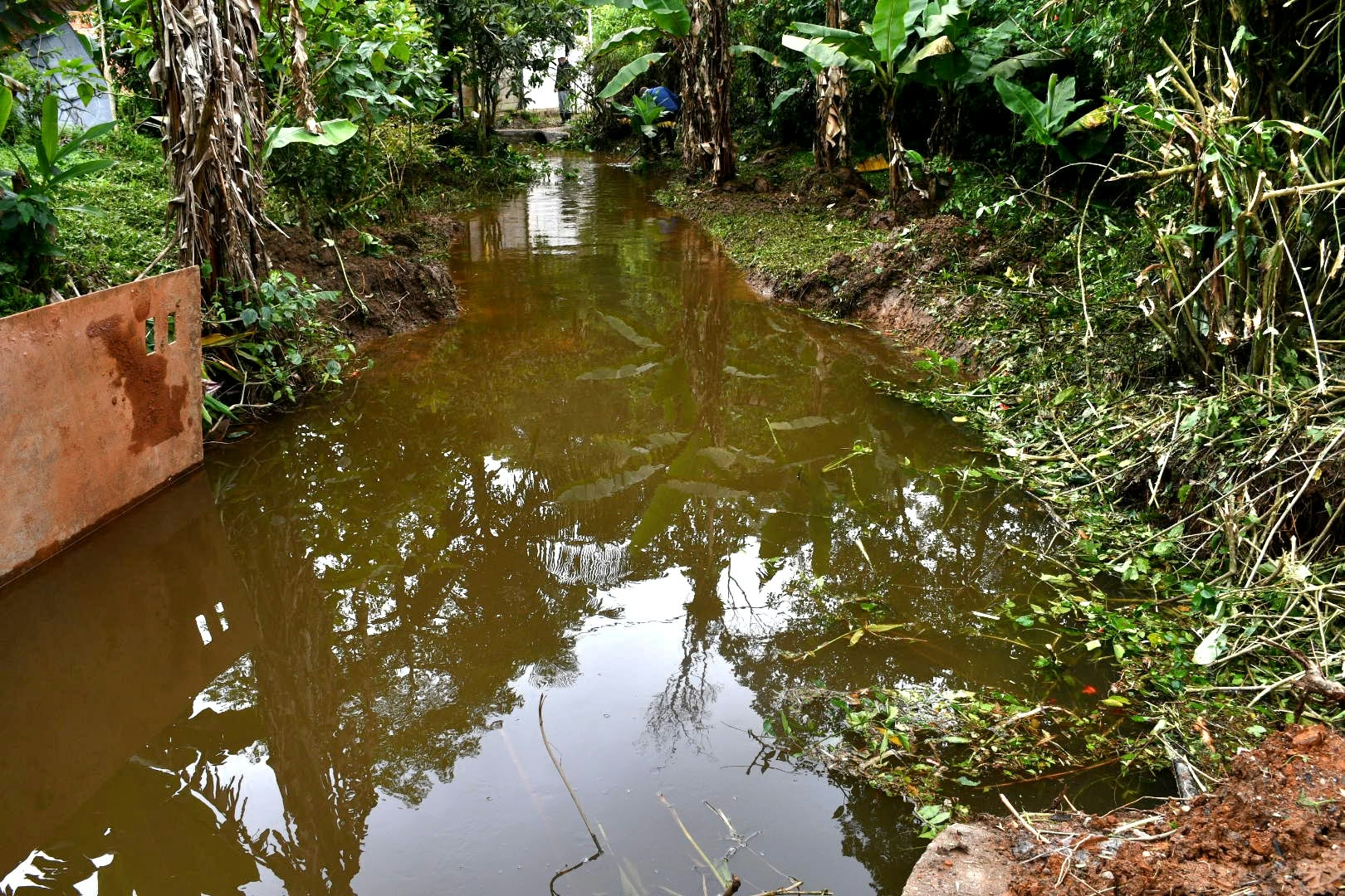 Córrego às margens da Billings, em Santo André, recebe intervenções de drenagem - foto 8