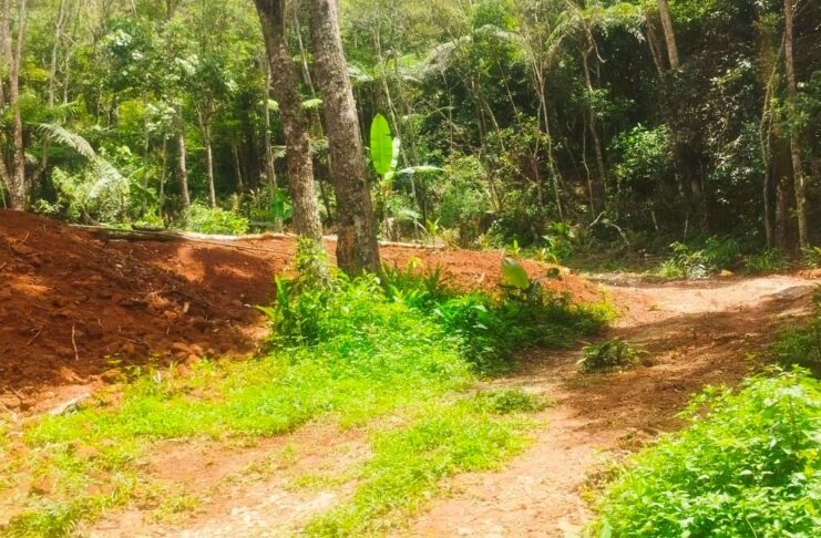 GCM de Guarulhos interdita obra irregular com piscina no Parque Estadual Itaberaba