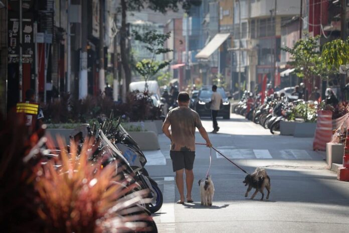Queda nos crimes no centro de SP: roubos recuam 66% na região da antiga Cracolândia