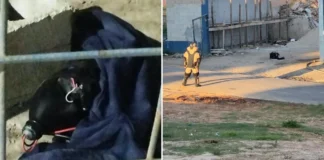Simulacro de bomba é localizado em ecoponto perto de local de votação em Itaquaquecetuba