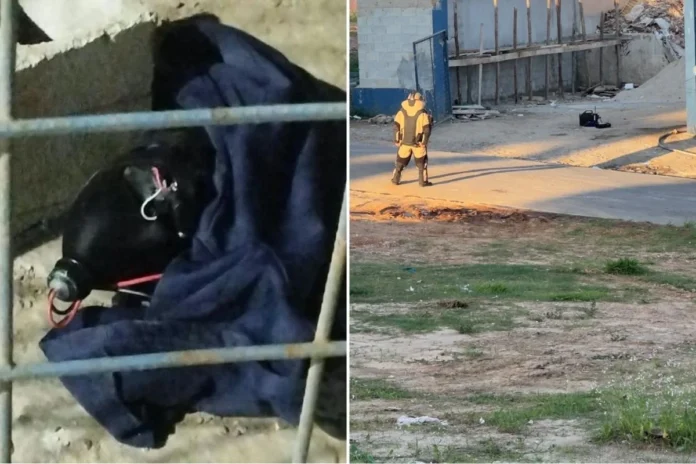 Simulacro de bomba é localizado em ecoponto perto de local de votação em Itaquaquecetuba