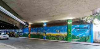 Viaduto Saraceni recebe intervenção de grafite que conta a história de Guarulhos