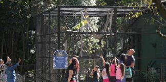 Zoológico de Guarulhos abre inscrições para estágio curricular obrigatório