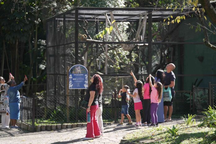 Zoológico de Guarulhos abre inscrições para estágio curricular obrigatório