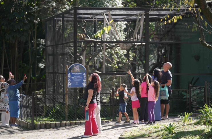 Zoológico de Guarulhos abre inscrições para estágio curricular obrigatório