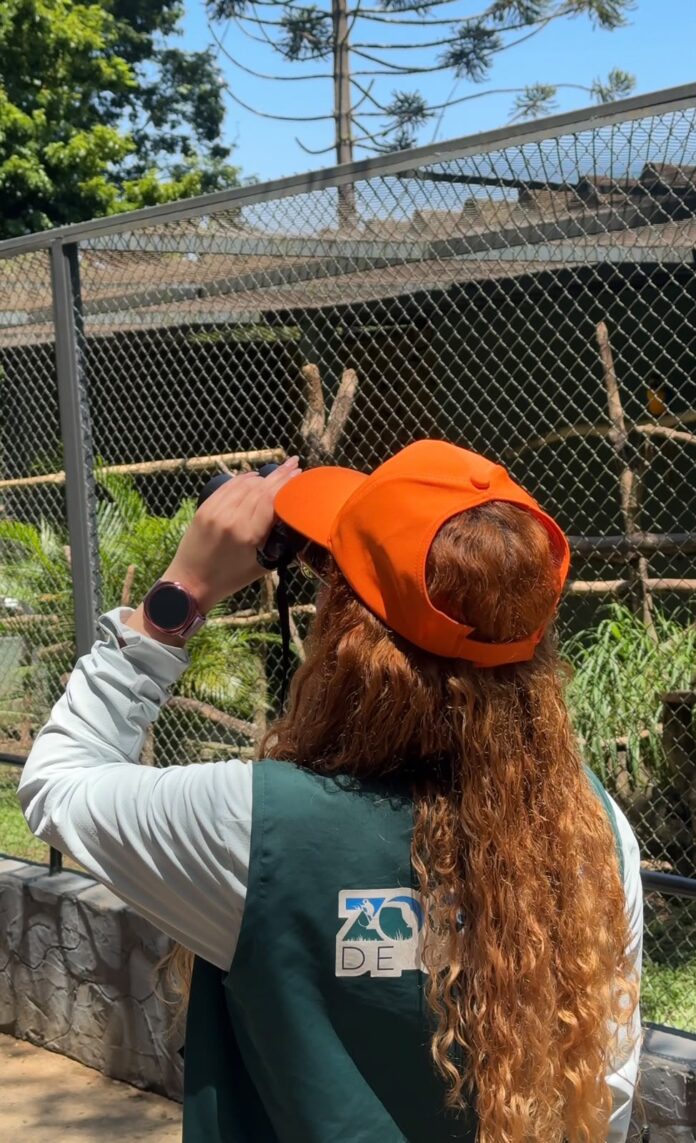 Zoológico de Guarulhos promove atividade gratuita de observação e estudo de aves
